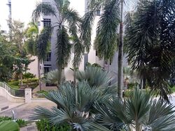 Carissa Park Condominium (D17), Condominium #491955121